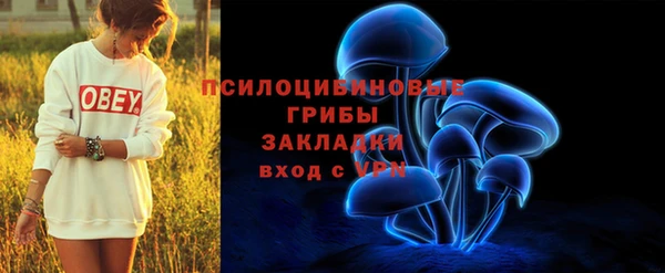 прущие крисы Алексеевка