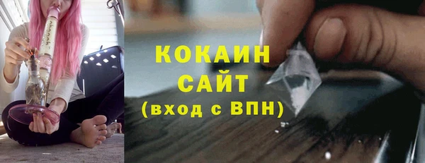 соль ск Абаза