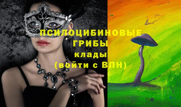 прущие крисы Алексеевка