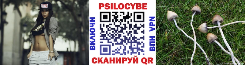 Галлюциногенные грибы Magic Shrooms  дарнет шоп  Пудож 